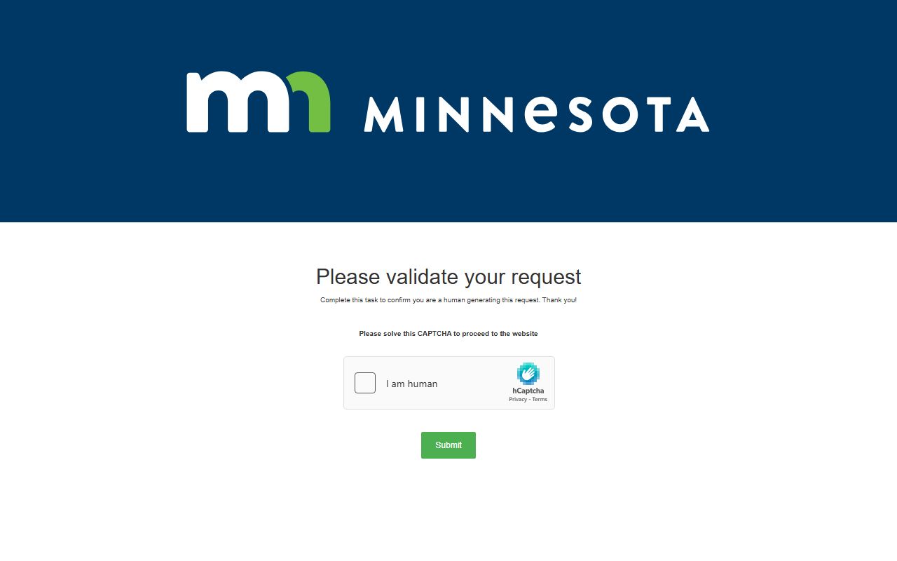 Minnesota divorce decree guidance page screenshot
